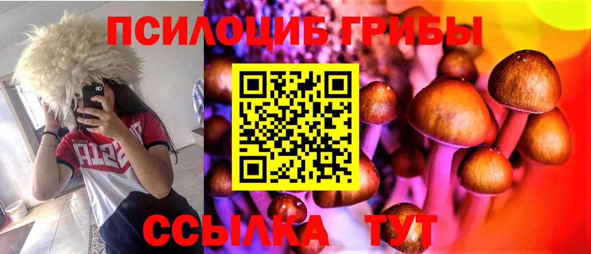 Воткинск  Псилоцибиновые грибы GOLDEN TEACHER  цены наркотик  Вход с VPN  Псилоцибиновые грибы ЛСД 